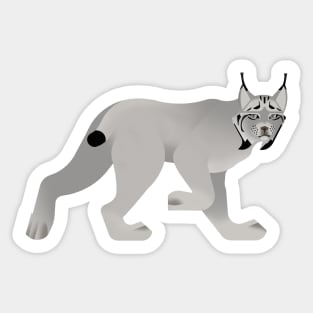 Canada lynx Sticker